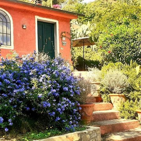 Villa Simo Portoferraio Luaran gambar